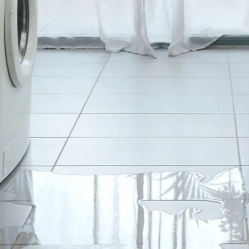 Appliance Leak Cleanup in Polk County, IA