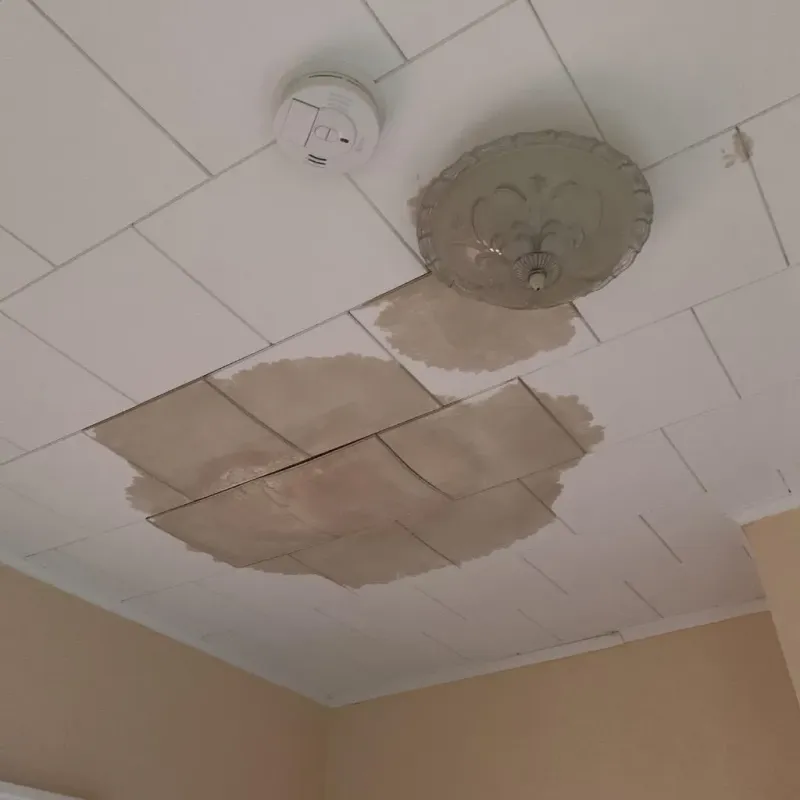 Ceiling Water Damage Repair in Polk County, IA
