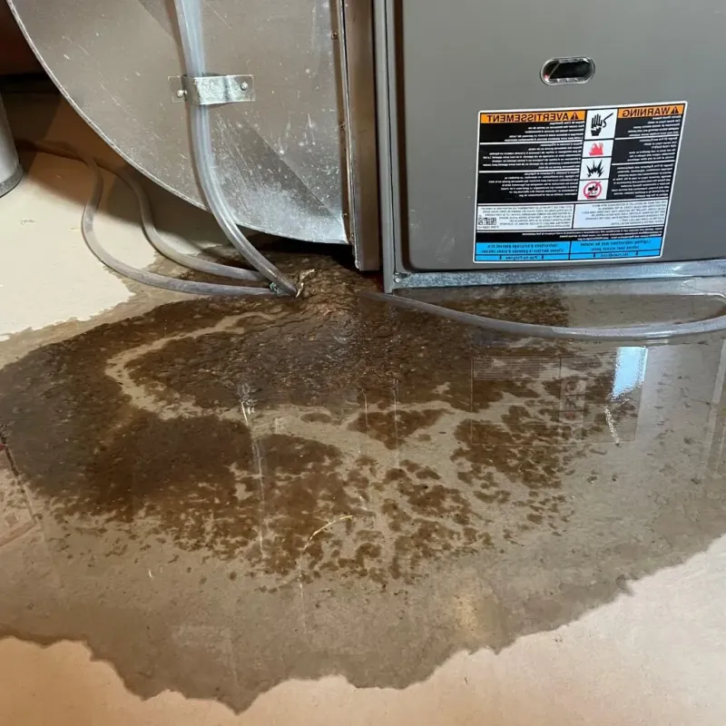 Pipe Burst and Leak Restoration in Polk County, IA