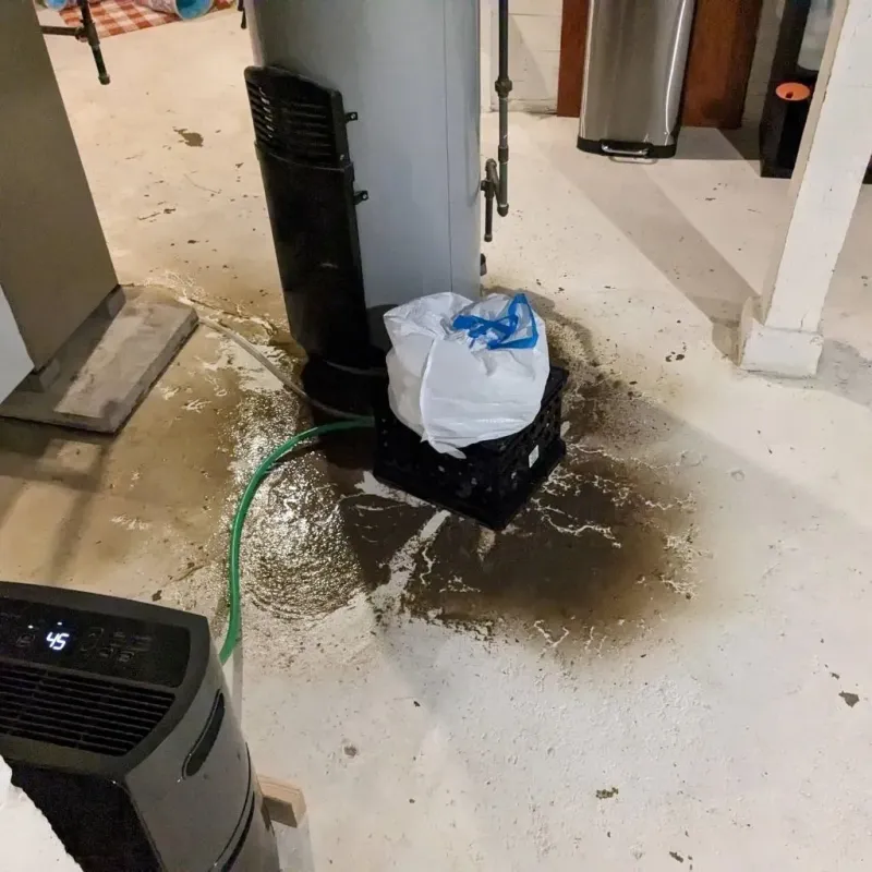 Sewage Backup Cleanup Service in Polk County, IA